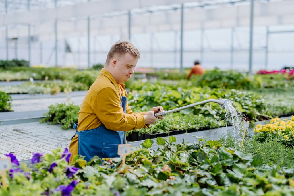 A young man wearing a blue apron and yellow shirt waters plants with a hose in a large greenhouse filled with green leafy plants and flowers, illustrating the nurturing aspect found in special needs planning.