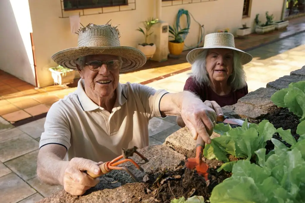 Older couple in straw hats gardening in a raised bed